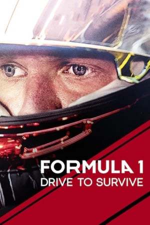 F1: Dirigir para Viver