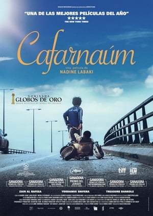 Película Cafarnaúm