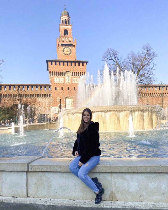 Place Castillo Sforzesco