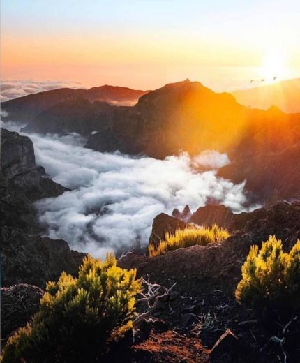 Pico do Areeiro