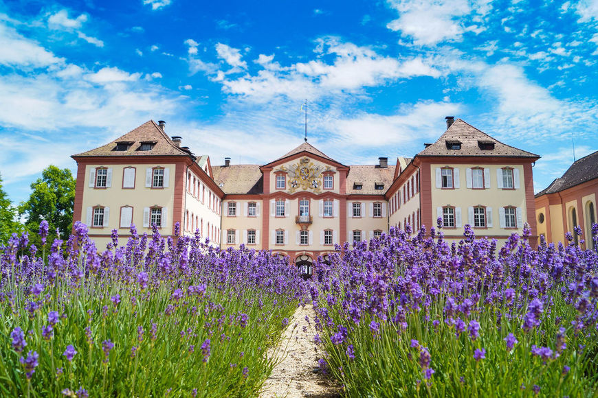 Lugar Ilha Mainau