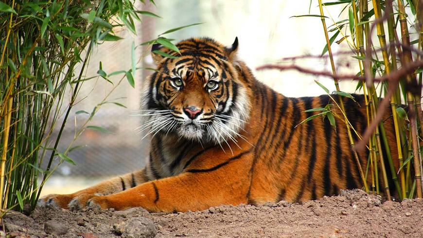 Lugares Zoo Osnabrück