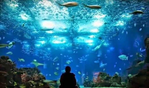 Oceanário de Lisboa