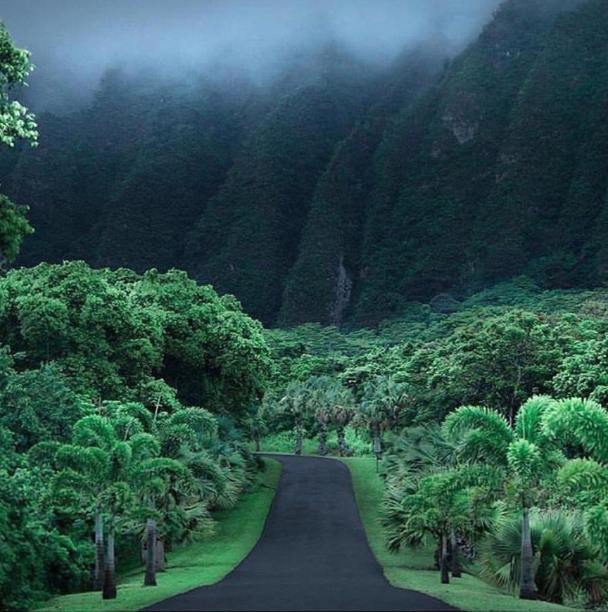 Lugares Koʻolau Mountains Watershed Partnership