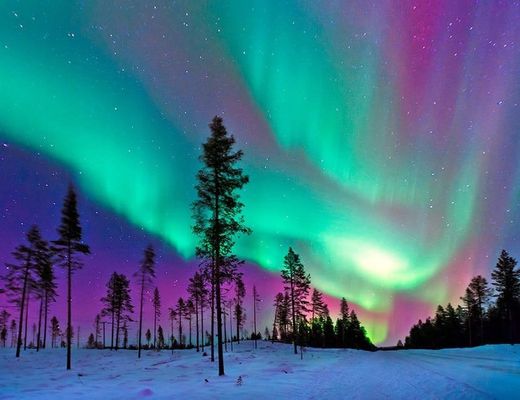 Aurora Borealis Observatory
