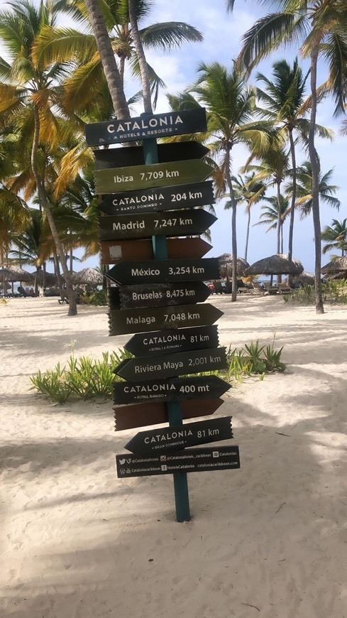 Lugar Catalonia Bavaro Beach, Golf & Casino Resort