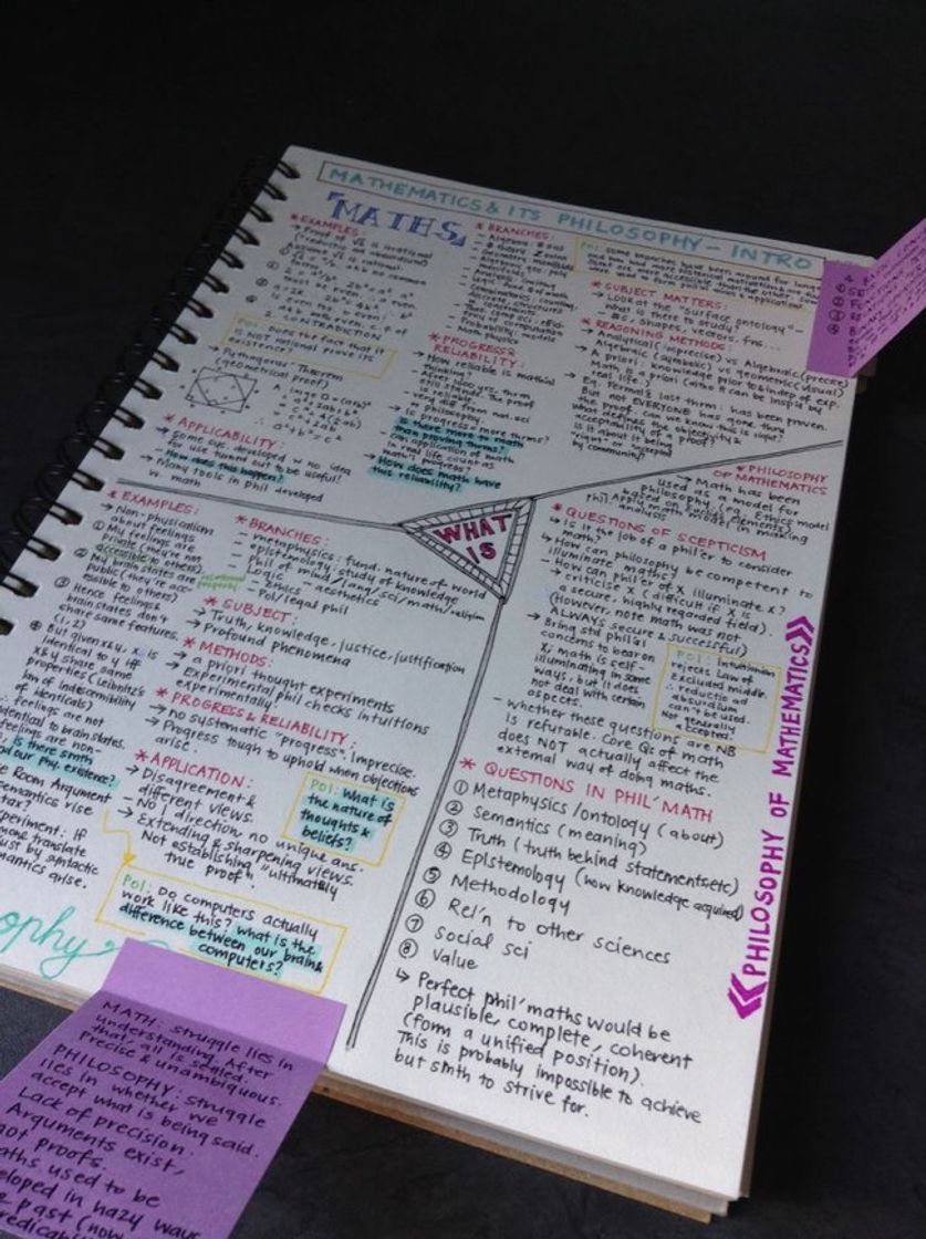 Social Study