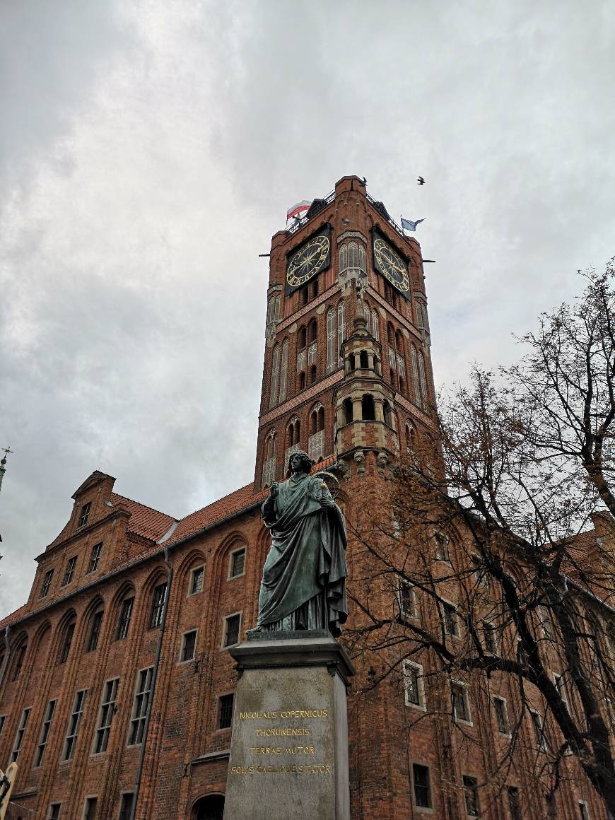 Lugares Nicolaus Copernicus Monument in Toruń