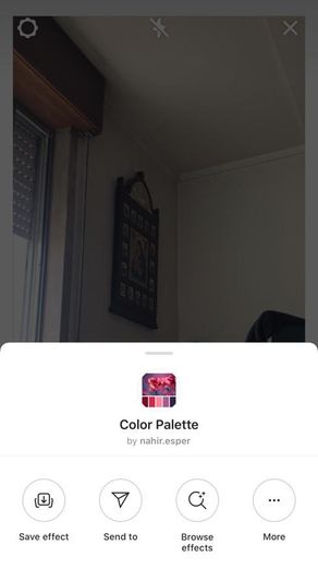 Color Palette