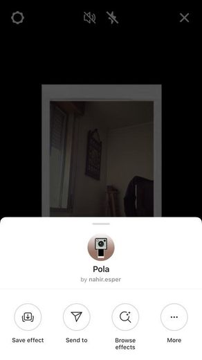 Pola