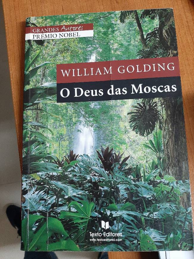 Book O Deus das Moscas