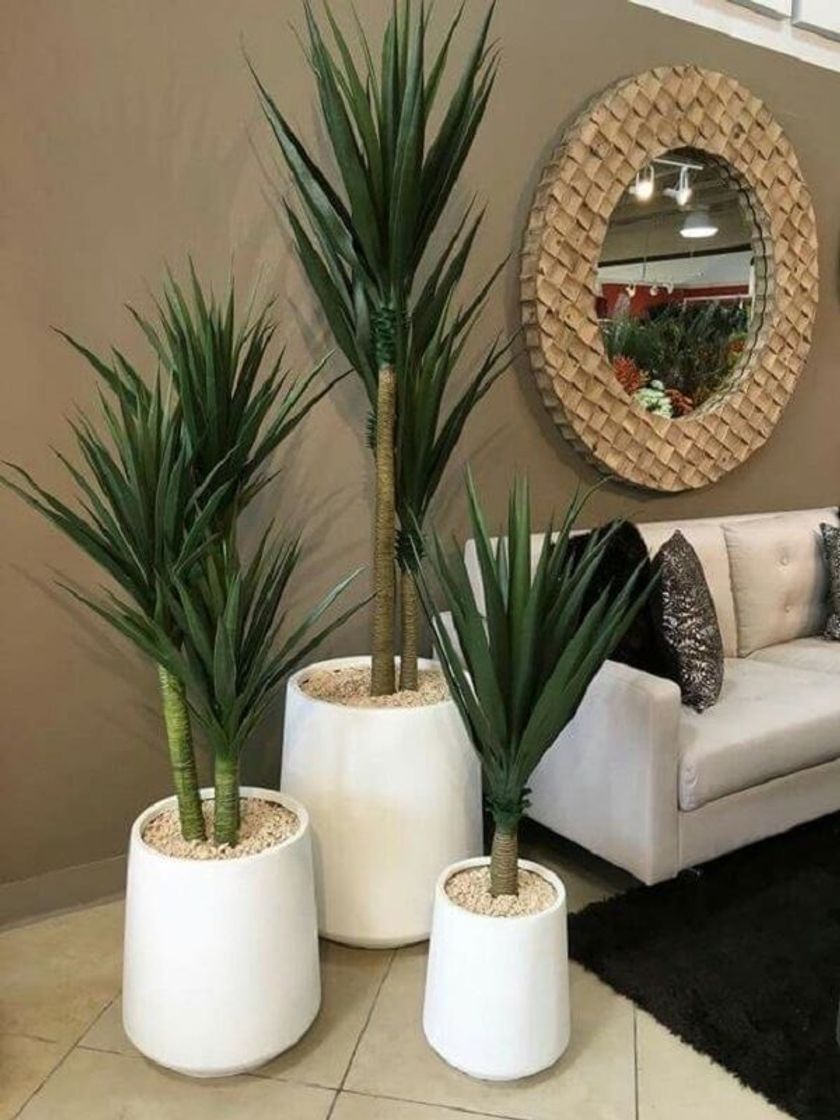Social Decoração 17