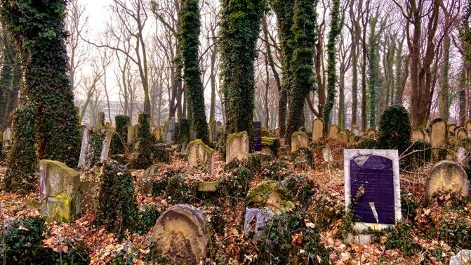 Lugar New Jewish Cemetery krakaw