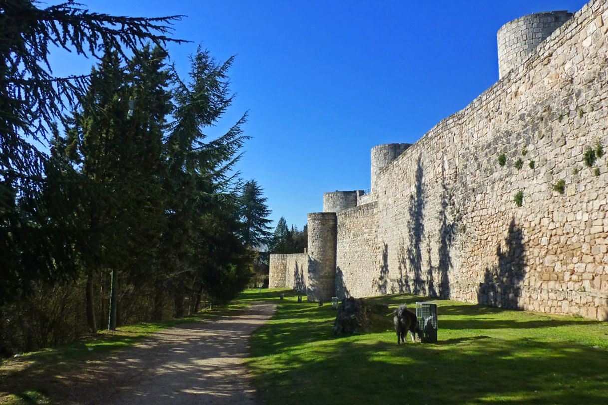 Place Castillo de Burgos