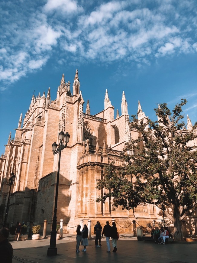 Lugar Catedral de Sevilla