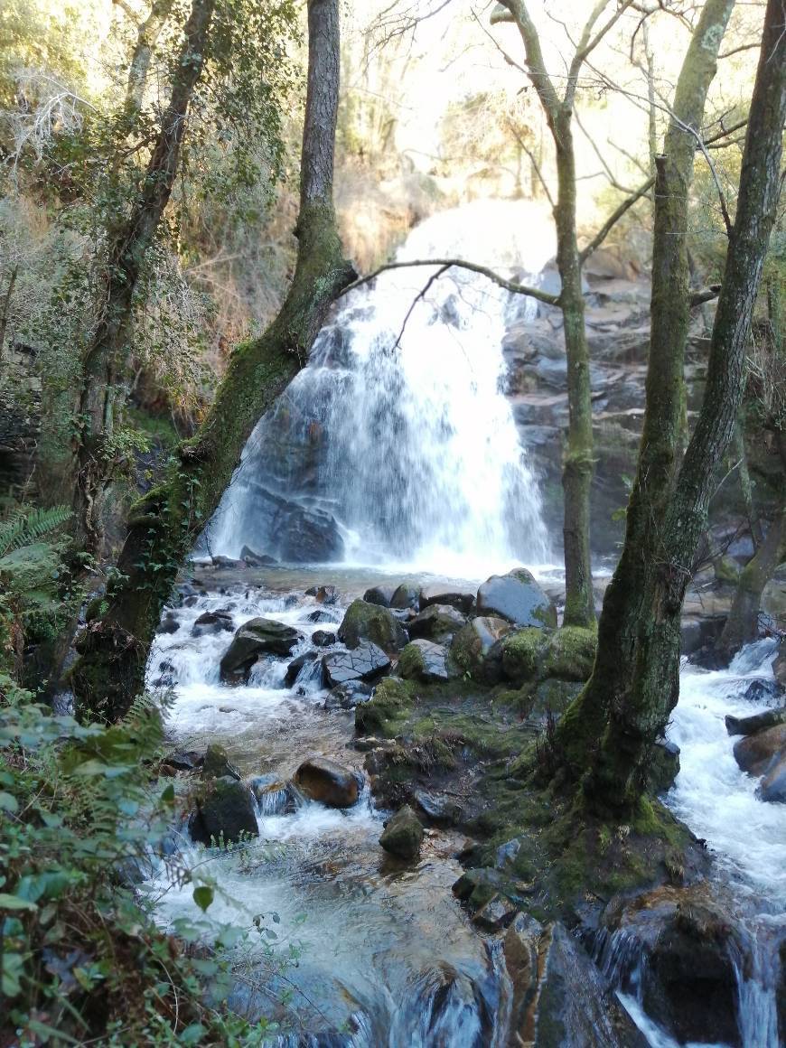 Place Sever do Vouga