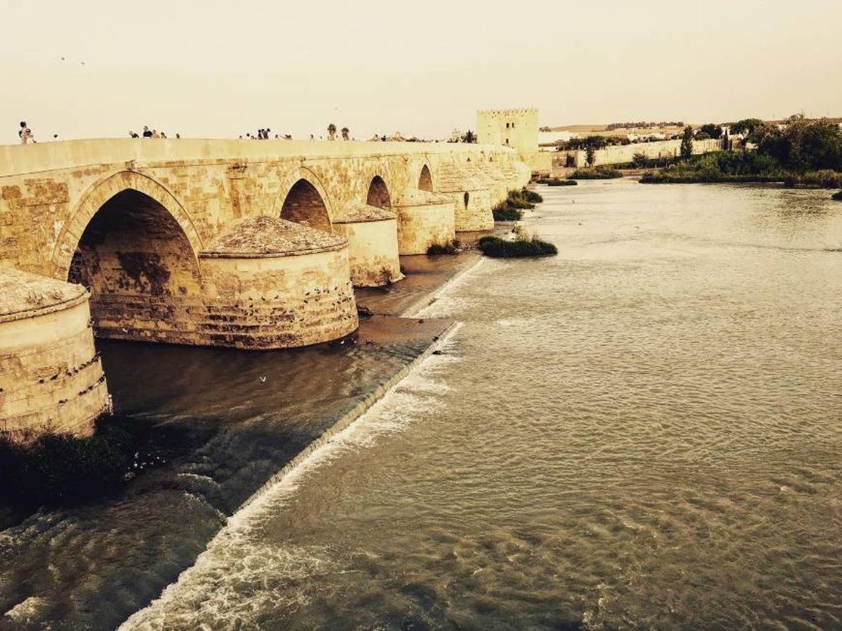 Place Puente Romano de Córdoba