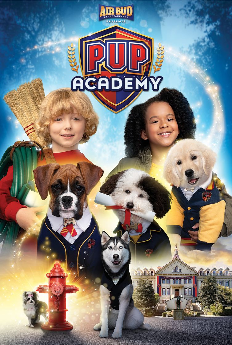 Serie Academia de cachorros 
