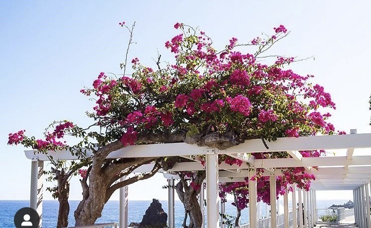 Place Lido