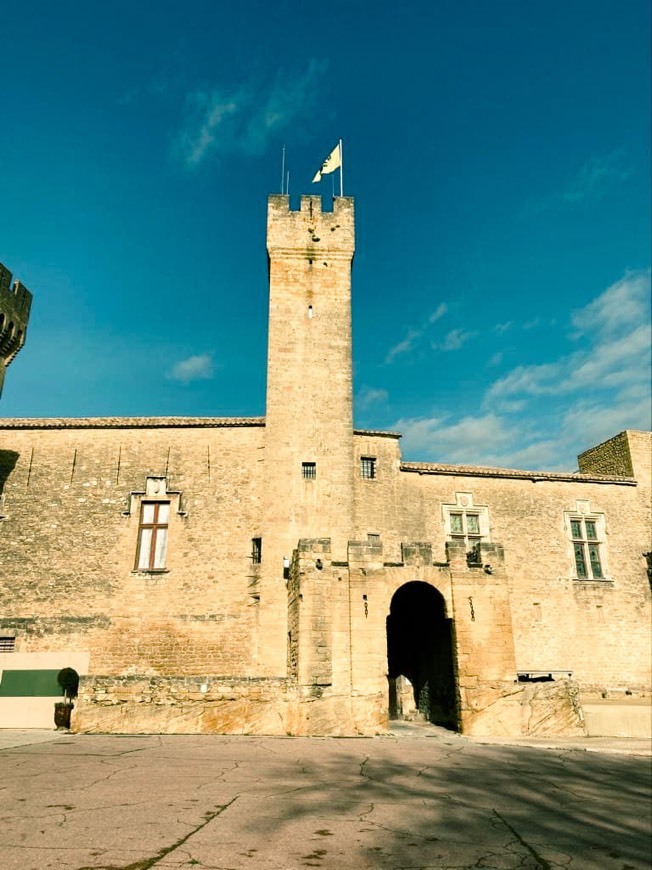 Lugar Château de l'Empéri