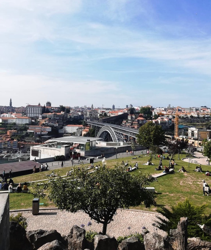 Lugar Jardim do Morro