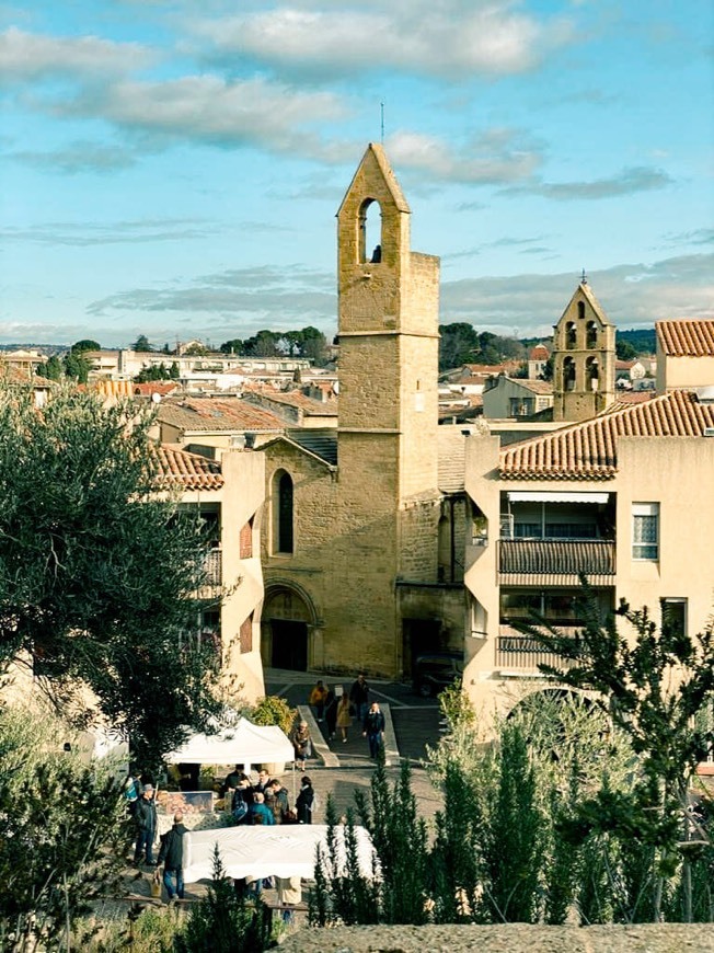 Lugares Église Saint-Michel de Salon-de-Provence