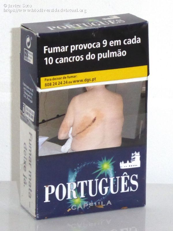 Moda Portugues tabaco