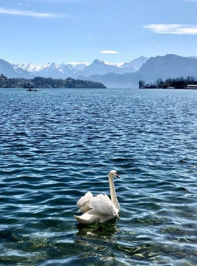 Lake Lucerne