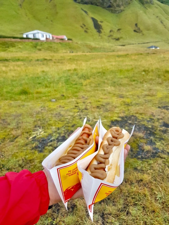 Restaurants The Hot Dog Shake and Pylsa Stand