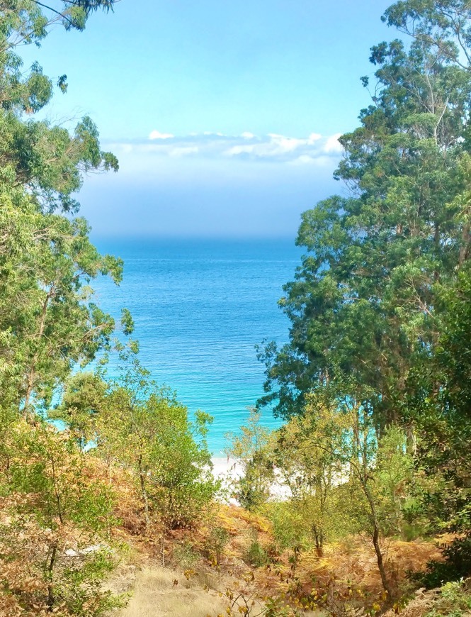 Lugar Praia de Muxieiro