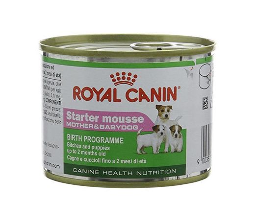 Royal Canin Starter Mousse