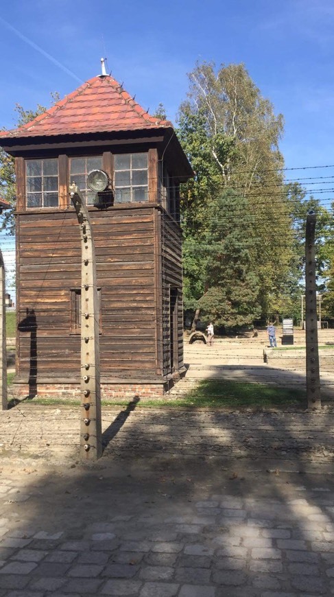 Book La bailarina de Auschwitz: Una inspiradora historia de valentía y supervivencia