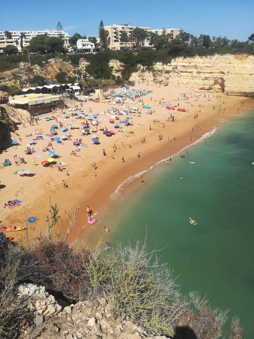Place Praia de Nossa Senhora da Rocha