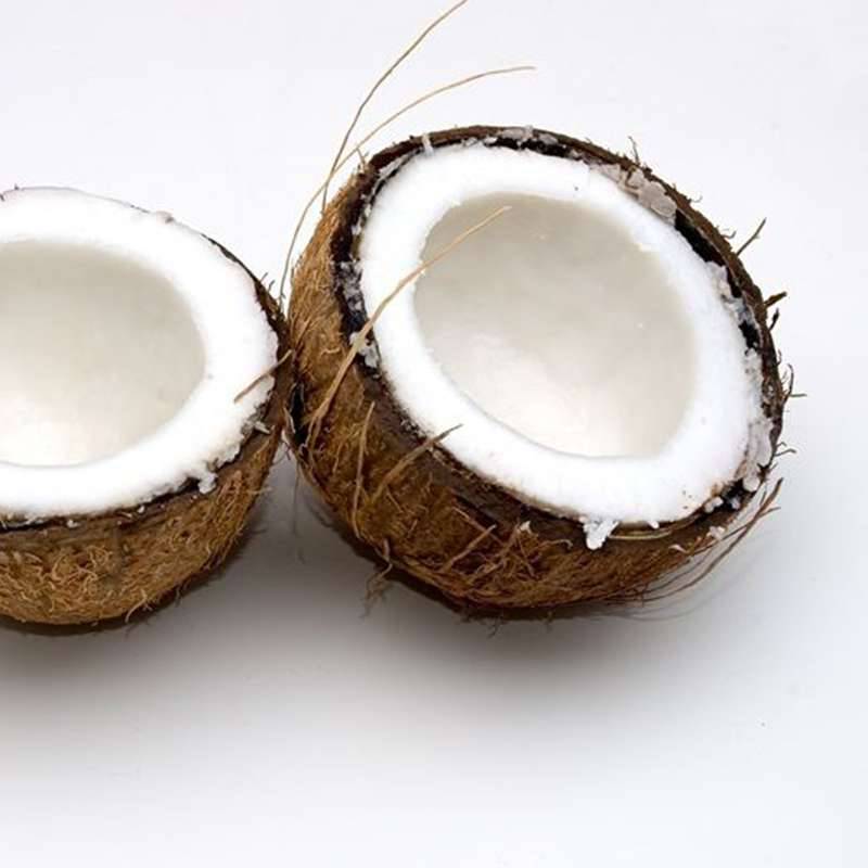 Social Coco