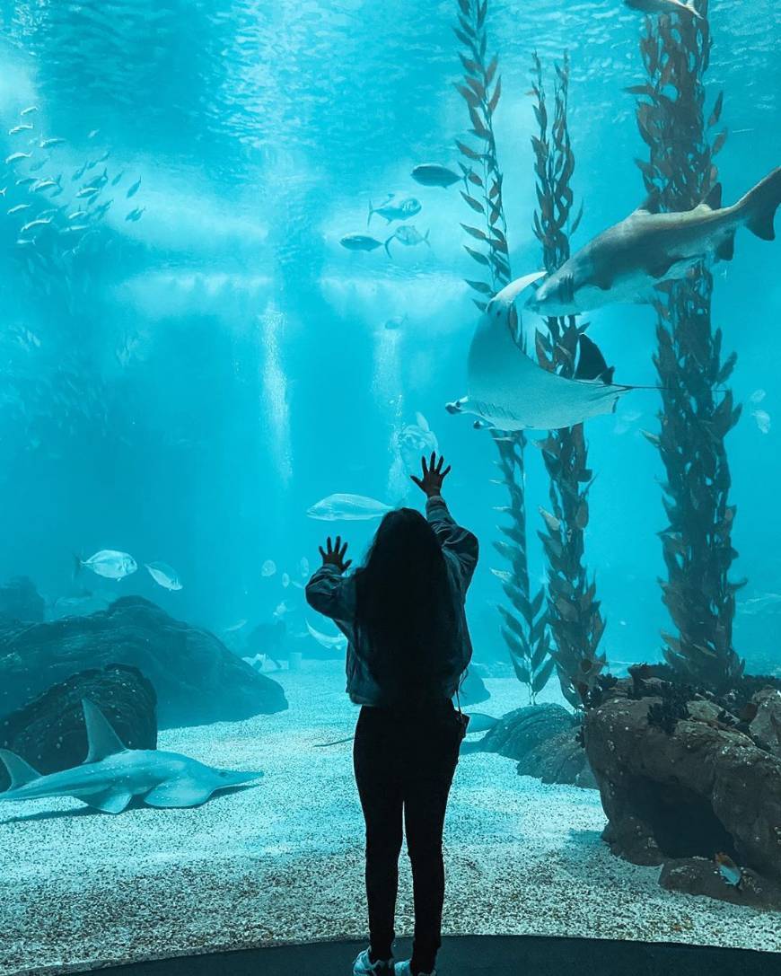 Oceanário de Lisboa

