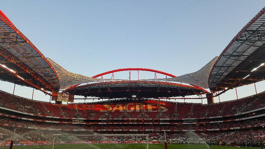 Moda Estádio da Luz - SL Benfica - YouTube