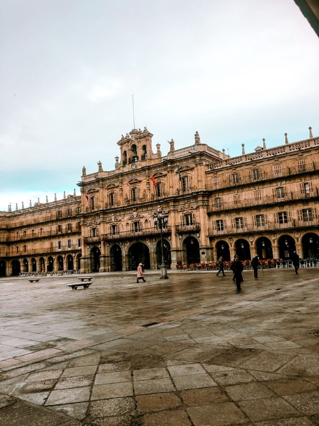 Place Plaza Mayor