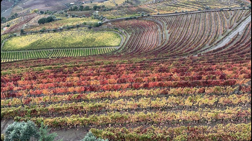 Lugares São João de Lobrigos