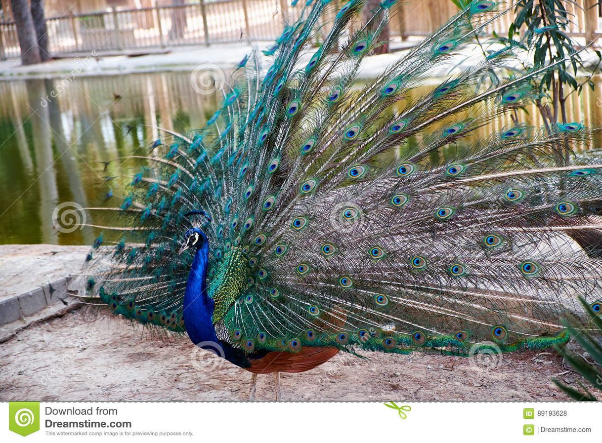 Place Parque Municipal Reina Sofia