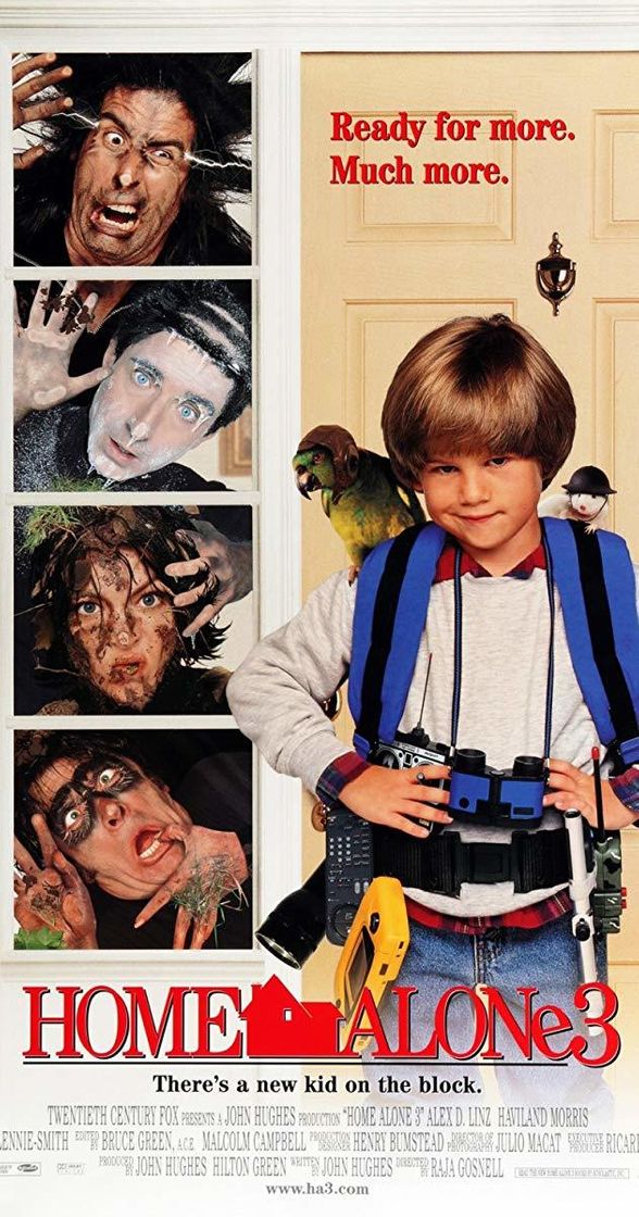 Home Alone: Part III