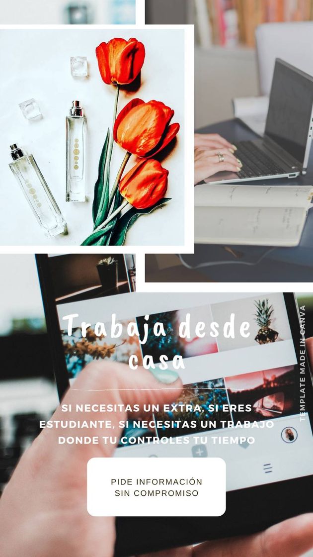 Social Trabaja conmigo y gana grandes comisiones