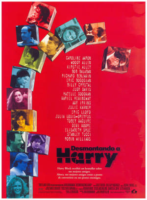 Movie Desmontando a Harry