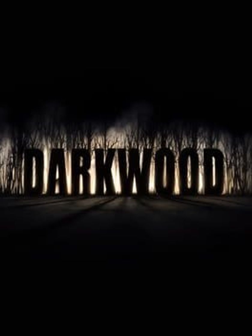 Videogames Darkwood