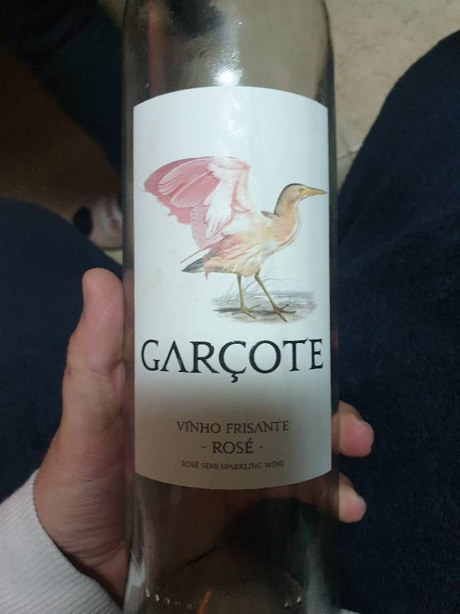 Fashion Vinho garçote 