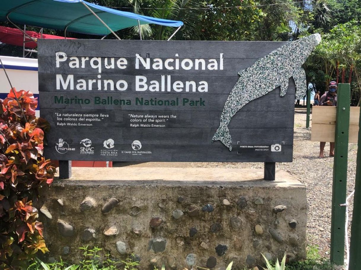 Lugar Bahía Ballena