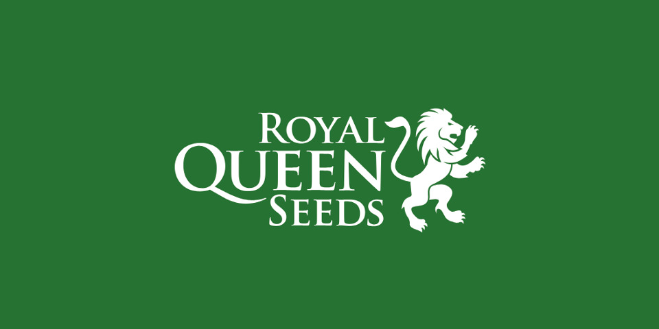 Moda Royal Queen Seeds