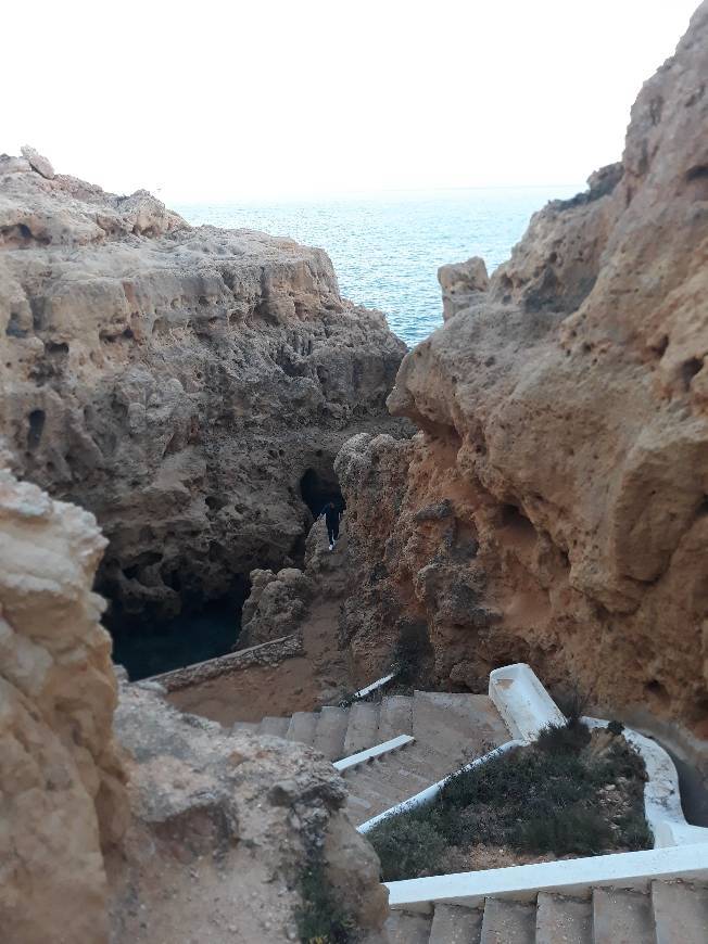 Carvoeiro (Mação)
