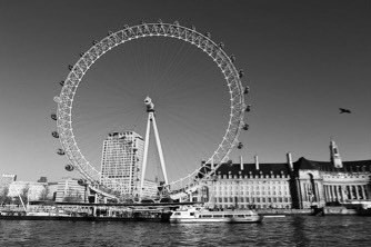 Place London Eye