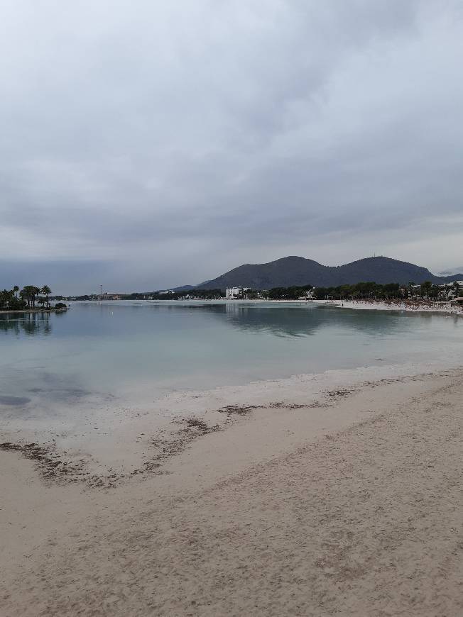 Lugar Puerto de Alcudia