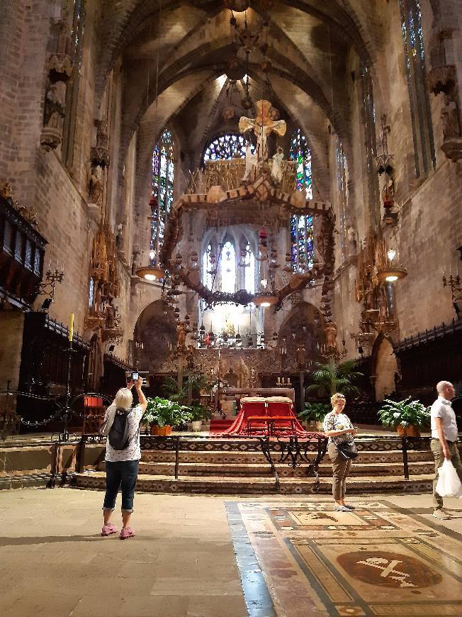 Lugar Catedral de Mallorca